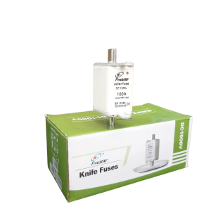 FS 100A  Battery Knife Fuse