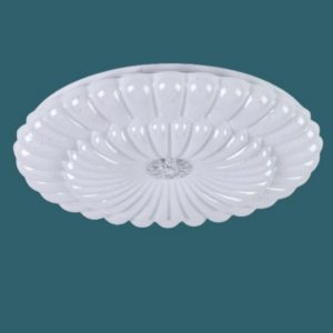 FS 100W  LY307  LED Ceiling light With A Remote Control And A Bluetooth