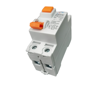 FS 63A  AC Double Pole  Earth Leakage Protector