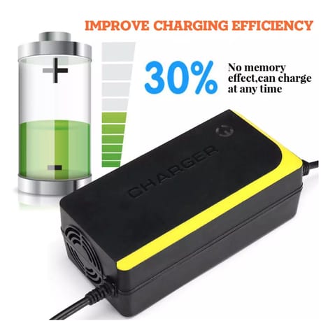 FS 12V 8A Intelligent Battery Charger BC1208 - Image 2