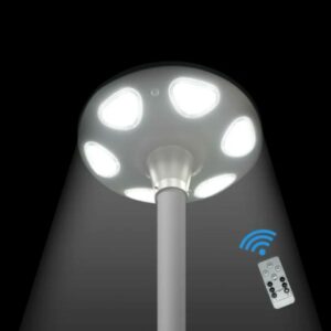 FS-UFO3014 30w Solar Street/Garden Light