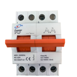 Fivestar FSSF-125 100A 2P Changeover Switch Breaker  Manual