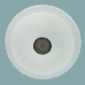 Fivestar LY403 48w 400mm LED Ceiling light With Bluetooth Speaker