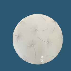 Fivestar SLM01 24w 300mm LED Ceiling light