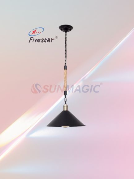 Fivestar- DC25 Single Head Rope Pendant Light