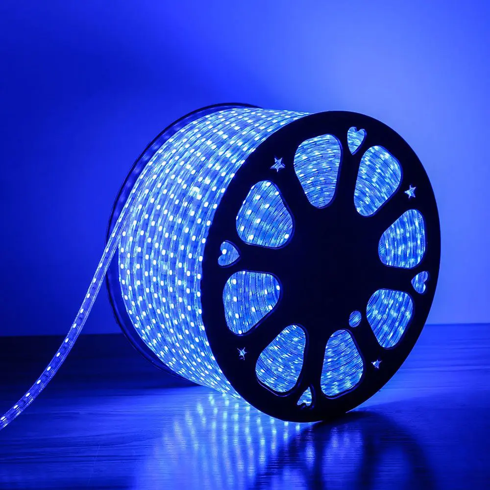 FS-DD02- 100M 220V 2835-8MM 120L/M Blue LED Strip Light