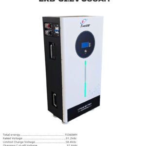 FS-LKB-300AH 15Kw 51.2V Low Voltage High Quality LiFeP04 Lithium Battery