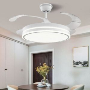 FS-FL079 Modern Ceiling Fan Light
